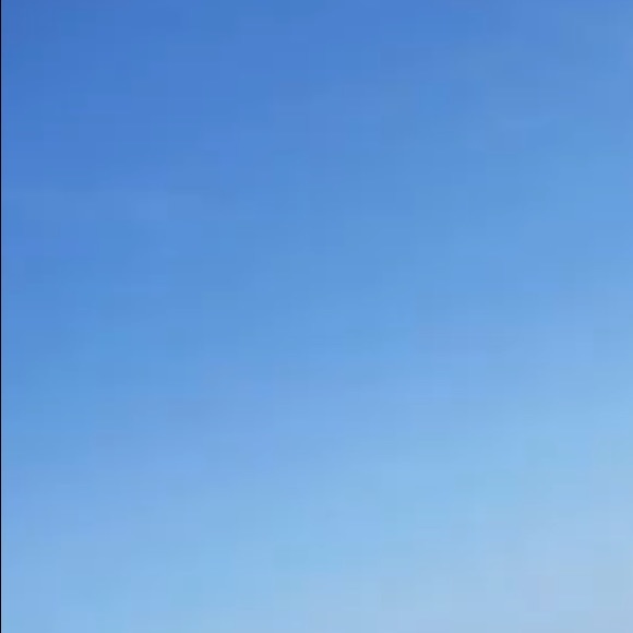 Meet your Posher, Bookie - Picture 1 of 1